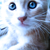 :iconReni-Photos: