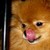 :iconrenisechan: