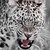 :iconrenjilover111: