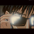 :iconrenjiro: