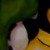 :iconrenlynn: