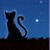 :iconrenn-ravengirl: