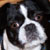 :iconrenrosewolf: