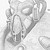:iconrepressedobsession: