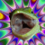 :iconreptiles-and-samurai: