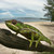:iconreptilianshadow: