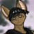 :iconrequin789: