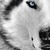 :iconres-arcana: