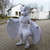 :iconreshi-ying: