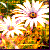 :iconresist-love: