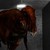 :iconressurexstudios:
