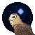:iconretriever240: