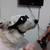 :iconretrogirly: