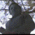 :iconrevan595: