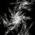 :iconrevenant-frost: