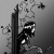 :iconrevenantfirst: