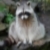:iconrevera128: