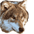 :iconrevoltvideo:
