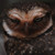 :iconrevolucho:
