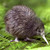 :iconrewa267: