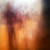 :iconrewiredart: