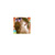 :iconrexreese: