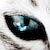 :iconreyohster: