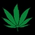 :iconrez4life: