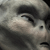 :iconrezonate: