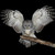 :iconrgraven: