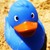 :iconrhambutans: