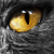 :iconrhapsodiac: