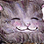 :iconrhavanel: