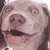 :iconrhazmuz: