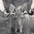 :iconrhenn45:
