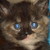 :iconrhiannonlove: