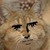 :iconrhichuu: