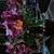 :iconrhine95: