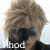 :iconRhod13: