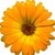 :iconrhonie1960: