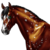 :iconrhyne-x: