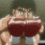 :iconrhythmguitaristryan: