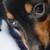 :iconrhythmic123: