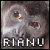 :iconrianux: