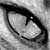 :iconribbit: