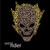 :iconric4472007: