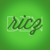 :iconricardojsantos: