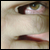 :iconricardoolvera:
