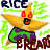 :iconrice--breads: