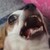 riceXyummy :iconricexyummy: